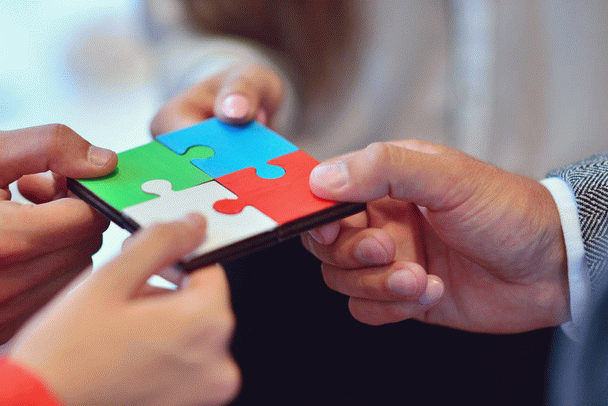 دانستن 16 نکته درباره رنگ، شکل، بو و اندازه مدفوع سگ