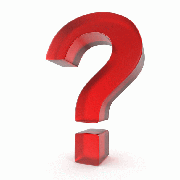 17 نکته حیاتی که باید قبل از آوردن یک سگ سنت برنارد به خانه بدانید